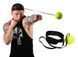 Fight ball everlast (файтбол) бойової м'яч на резинці. файт бол тренажер 1284748238 фото 3