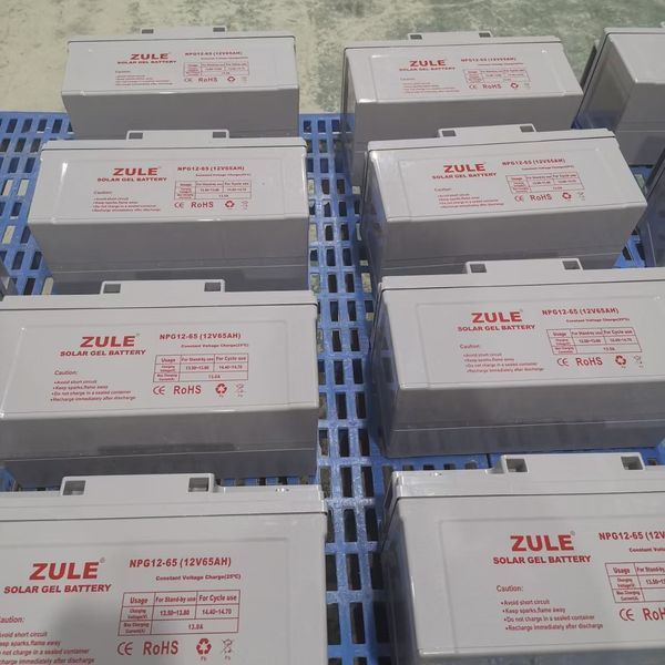 Гелевый аккумулятор ZULE NPG12-65 (12V 65Ah) глубокого цикла NPG12-65 фото