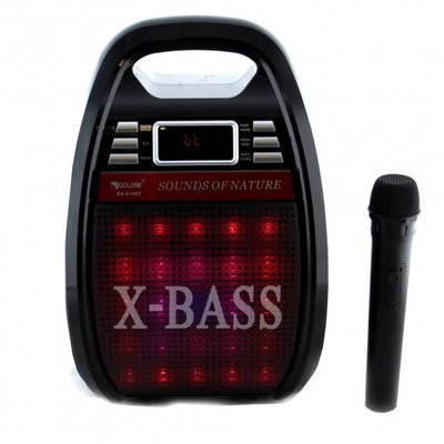 Колонка з мікрофоном X-Bass RX 810 1419558417 фото